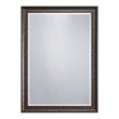 Yosemite Home Decor Large Rectangle Beveled Glass Resin Casual Mirror in Bronze
