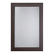 Yosemite Home Decor Medium Rectangle Glass Resin Casual Mirror in Espresso