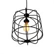 Yosemite Home Decor Hakissa 1-Light Transitional Metal Pendant in Black
