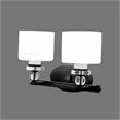 Yosemite Home Decor Mitchell Peak 2-Light Glass Vanity Light in Bronze
