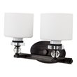 Yosemite Home Decor Mitchell Peak 2-Light Glass Vanity Light in Bronze