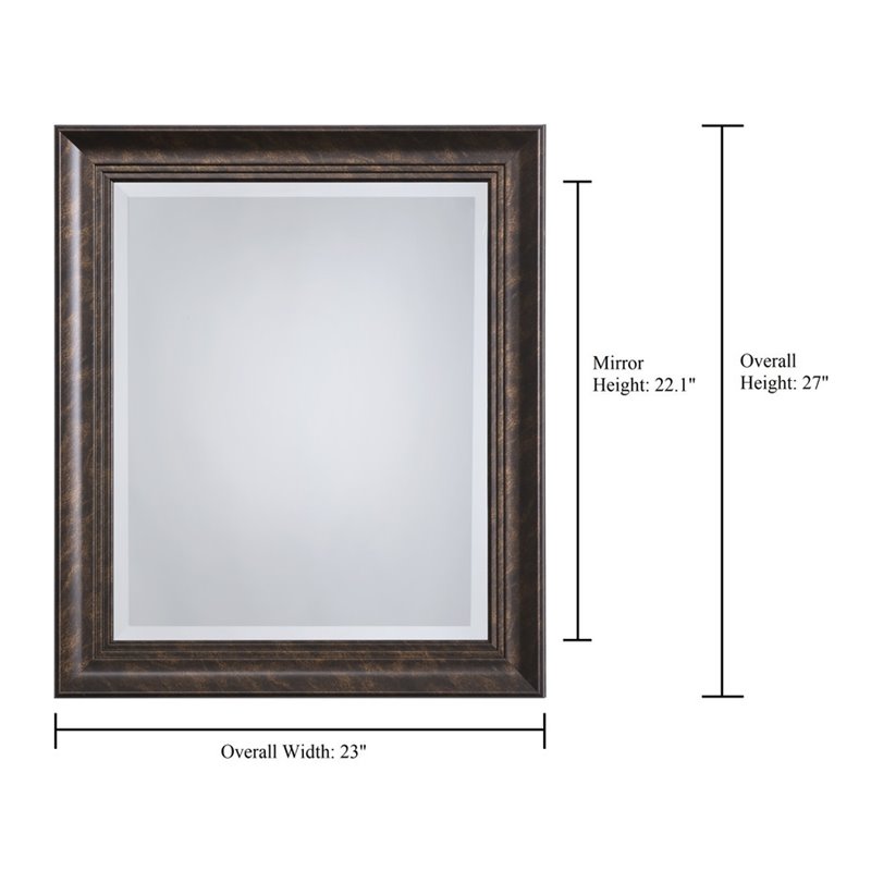 Yosemite Home Decor Medium Rectangle Resin Casual Mirror in Dark Bronze