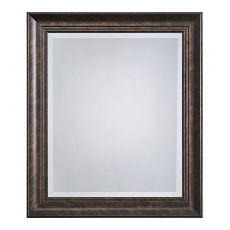 Yosemite Home Decor Medium Rectangle Resin Casual Mirror in Dark Bronze