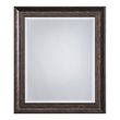 Yosemite Home Decor Medium Rectangle Resin Casual Mirror in Dark Bronze