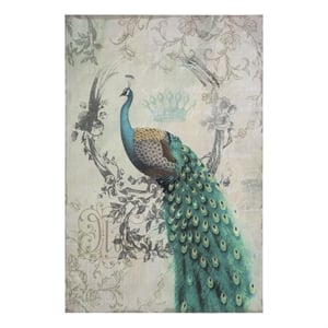 Yosemite Artwork Left Facing Peacock Poise II Print on Canvas in Multi-Color
