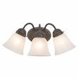 Yosemite Home Decor 3 Lights Vanity Lighting in Dark Brown Frame