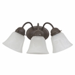 Yosemite Home Decor 3 Lights Vanity Lighting in Dark Brown Frame