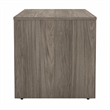 Studio C 60W x 30D Office Desk in Modern Hickory - Engineered Wood