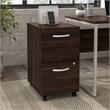 Hybrid 2 Drawer Mobile File Cabinet in Black Walnut - Engineered Wood