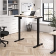 Move 40 Series 48W Adjustable Standing Desk in Natural Elm - Engineered Wood