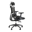 Align High Back Ergonomic Office Chair with Lumbar Support in Black Fabric