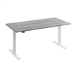 Move 60 Series 60W Adjustable Standing Desk in Platinum Gray - Engineered Wood