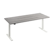 Move 60 Series 72W Adjustable Standing Desk in Platinum Gray - Engineered Wood