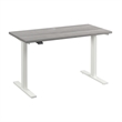Move 60 Series 48W Adjustable Standing Desk in Platinum Gray - Engineered Wood
