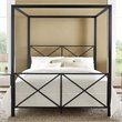 DHP Rosedale Modern Romance Metal Queen Canopy Bed in Black