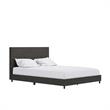 DHP Mathias Upholstered Bed with USB Dual Port Queen  in Gray Linen