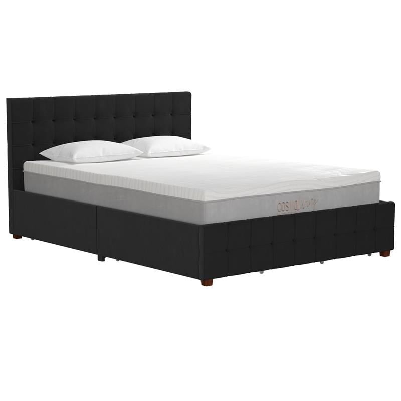 CosmoLiving by Cosmopolitan Elizabeth Upholstered Bed Queen in Black Velvet