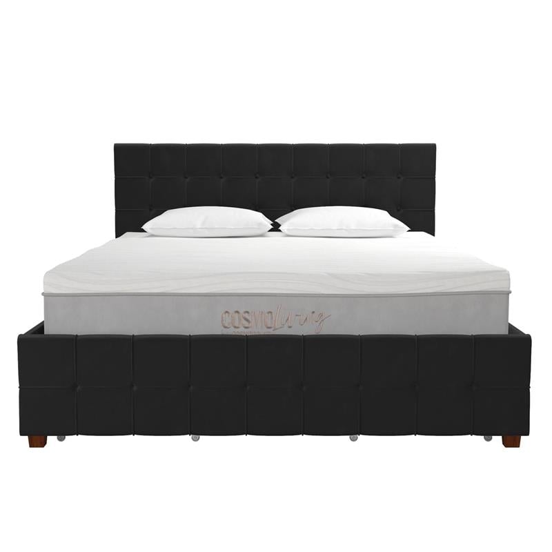 CosmoLiving by Cosmopolitan Elizabeth Upholstered Bed Queen in Black Velvet