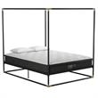 CosmoLiving Celeste Canopy Metal Bed Queen Size Frame in Black/Gold