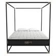 CosmoLiving Celeste Canopy Metal Bed Queen Size Frame in Black/Gold