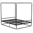 CosmoLiving Celeste Canopy Metal Bed Queen Size Frame in Black/Gold