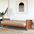 Trule 6-Inch Bonnell Coil Futon Mattress Microfiber Full in Tan