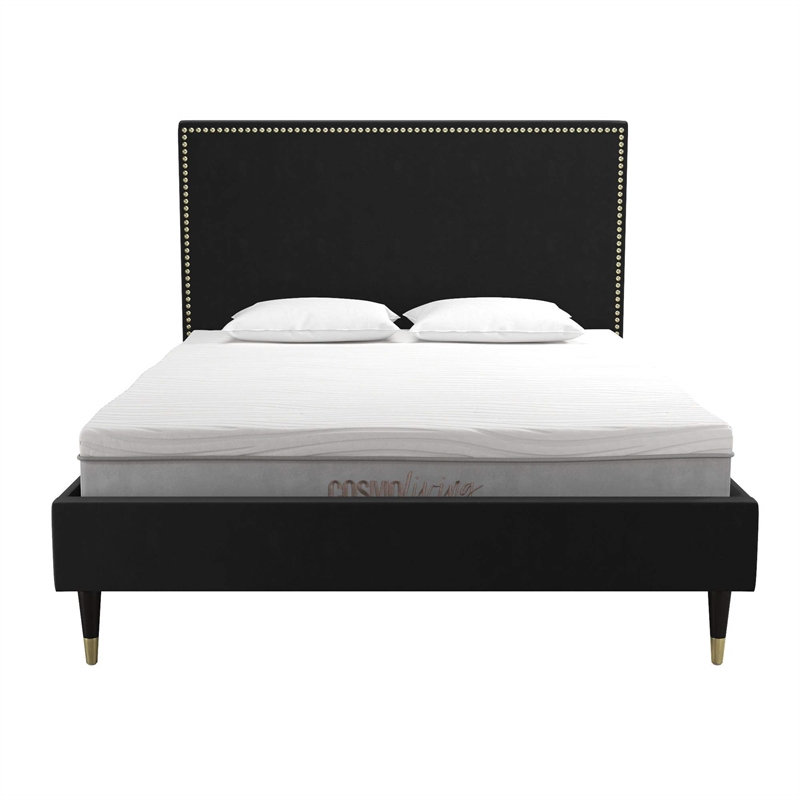 CosmoLiving by Cosmopolitan Audrey Queen Upholstered Bed in Black Velvet