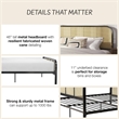 Mr. Kate Roxanne King Metal Platform Bed Frame with Cane Headboard in Black