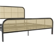 Mr. Kate Roxanne King Metal Platform Bed Frame with Cane Headboard in Black