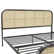 Mr. Kate Roxanne King Metal Platform Bed Frame with Cane Headboard in Black