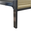 Mr. Kate Roxanne King Metal Platform Bed Frame with Cane Headboard in Black