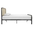 Mr. Kate Roxanne Queen Metal Platform Bed Frame w/Cane Headboard in Black