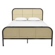 Mr. Kate Roxanne Queen Metal Platform Bed Frame w/Cane Headboard in Black