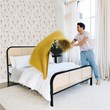 Mr. Kate Roxanne Queen Metal Platform Bed Frame w/Cane Headboard in Black