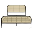 Mr. Kate Roxanne Queen Metal Platform Bed Frame w/Cane Headboard in Black