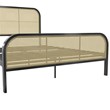 Mr. Kate Roxanne Queen Metal Platform Bed Frame w/Cane Headboard in Black