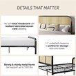 Mr. Kate Roxanne Queen Metal Platform Bed Frame w/Cane Headboard in Black