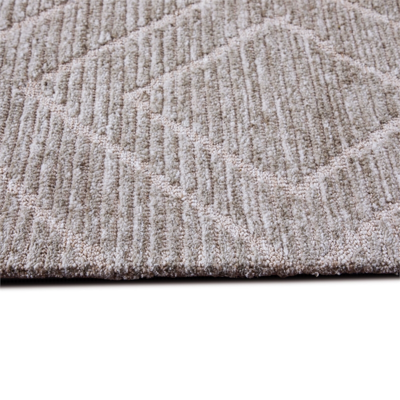 Eldon 8 x 10 Area Rug Contemporary in sand dollar