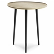 Tanner  Mid Century Modern 19 inch Wide Metal Metal Side Table in Gold
