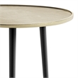 Tanner  Mid Century Modern 19 inch Wide Metal Metal Side Table in Gold