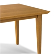 Colby Oak 60 inch x 36 inch Rectangle Contemporary Modern Dining Table in Oak