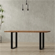 Fieldcrest 72 x 36 inch Rectangle Modern Industrial Dining Table in Natural