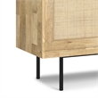 Reeves 57 inch x 18 inch Rectangle  Sideboard Buffet in Natural