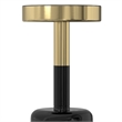 Frannie  10 inch Wide Metal Side Table in Gold / Black