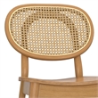 Rachel Beech Wood Contemporary Dining Chair (Set of 2) in Natural