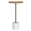 Turner 12 inch Wide Solid Mango/Genuine Marble/Iron Modern End Table in Multi