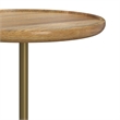 Turner 12 inch Wide Solid Mango/Genuine Marble/Iron Modern End Table in Multi