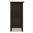 Amherst 37 inch Wide Solid Wood Transitional 2 Door Storage Cabinet in Hickory Brown