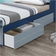 ACME Neptune II Wood Kids Underbed Drawer in Gray Set of 2