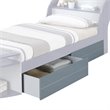 ACME Neptune II Wood Kids Underbed Drawer in Gray Set of 2